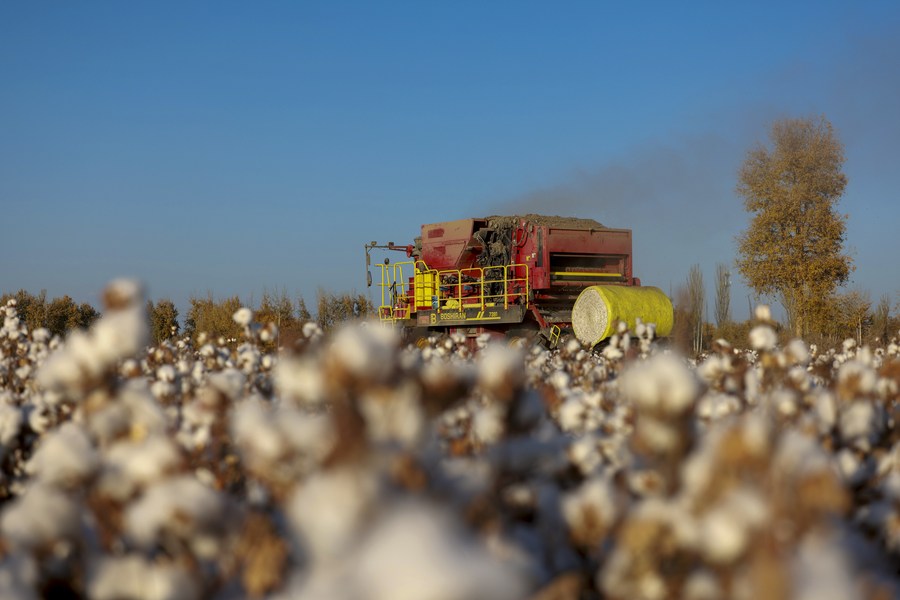 China's cotton industry to advance highquality development荔枝网