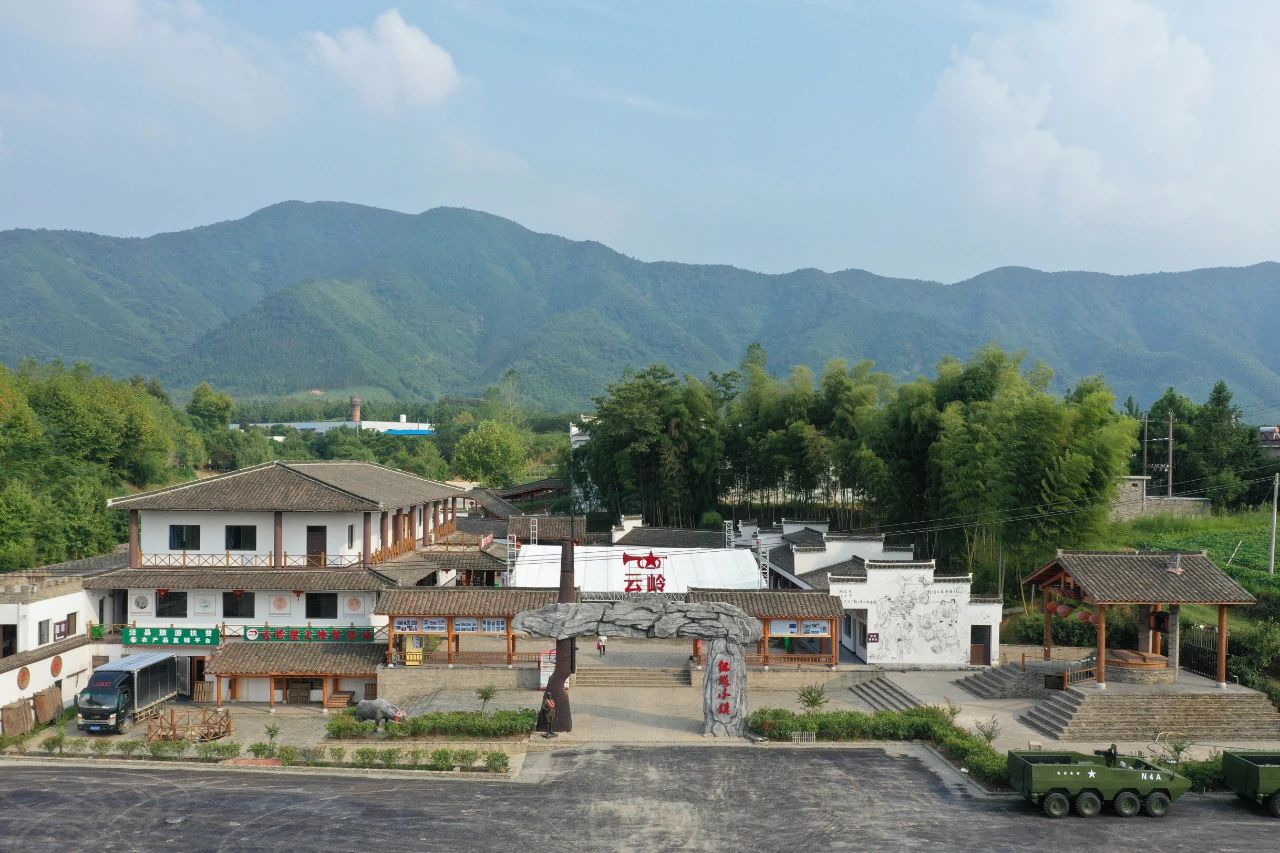 文章配图