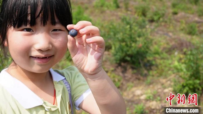 (乡村行·看振兴)浙江乡村:时令果蔬迎丰收 “甜蜜经济”促振兴-广东台荔枝网