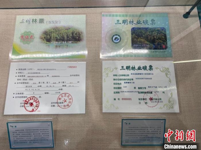 首个全国生态日：美丽中国，踏绿而来-广东台荔枝网