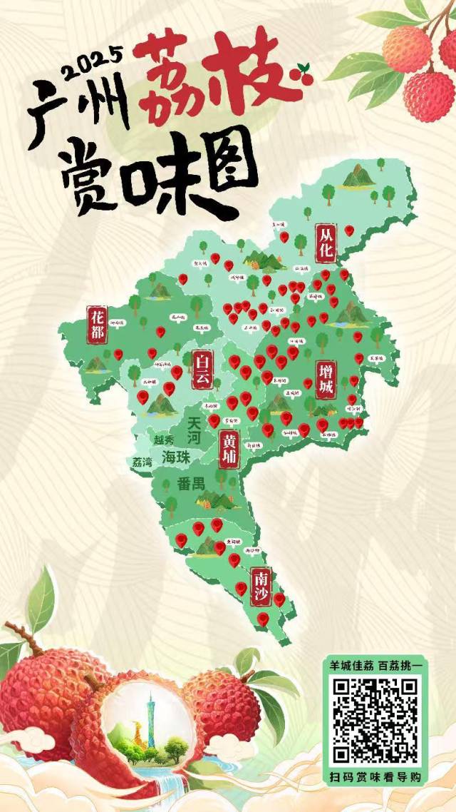 2025广州荔枝赏味图发布，近200家果园“一网打尽”-广东台荔枝网