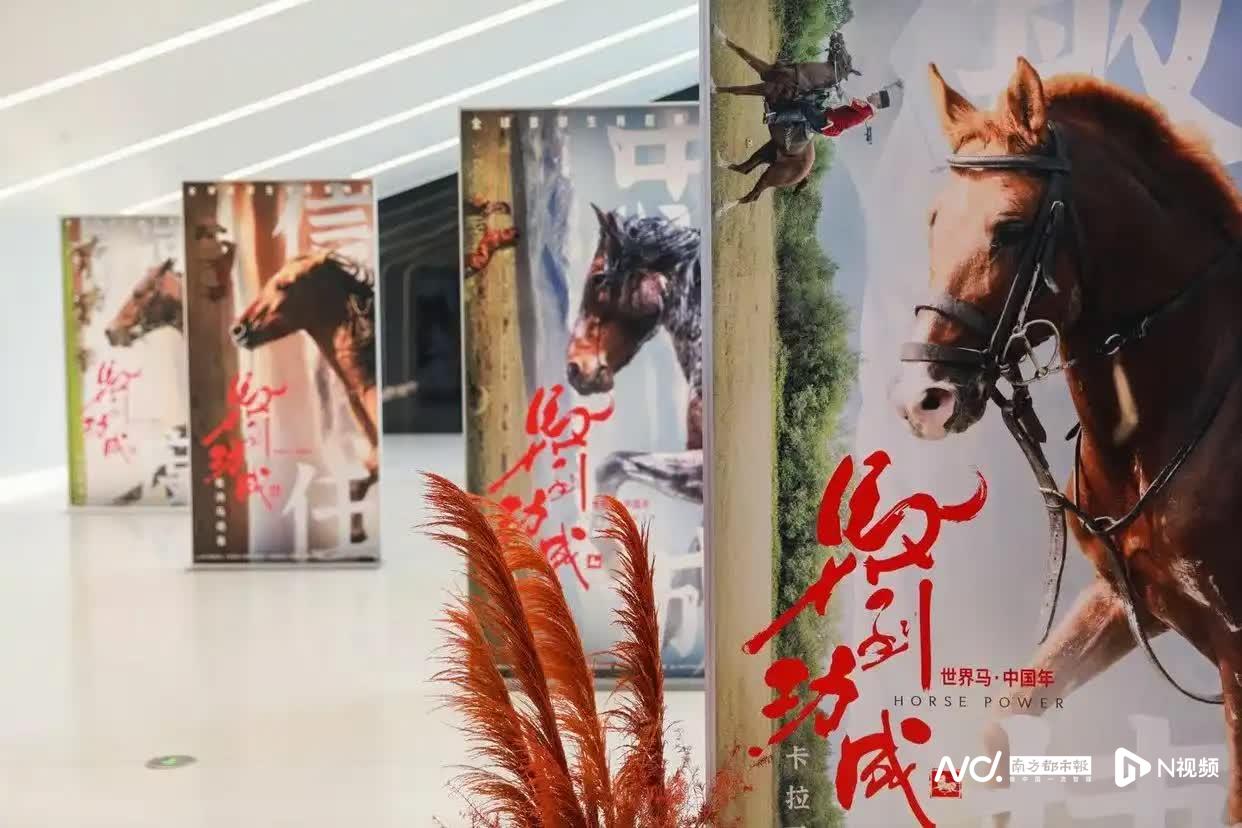 广东电影市场喜迎开门红，八大新春观影福利点燃消费热潮-广东台荔枝网