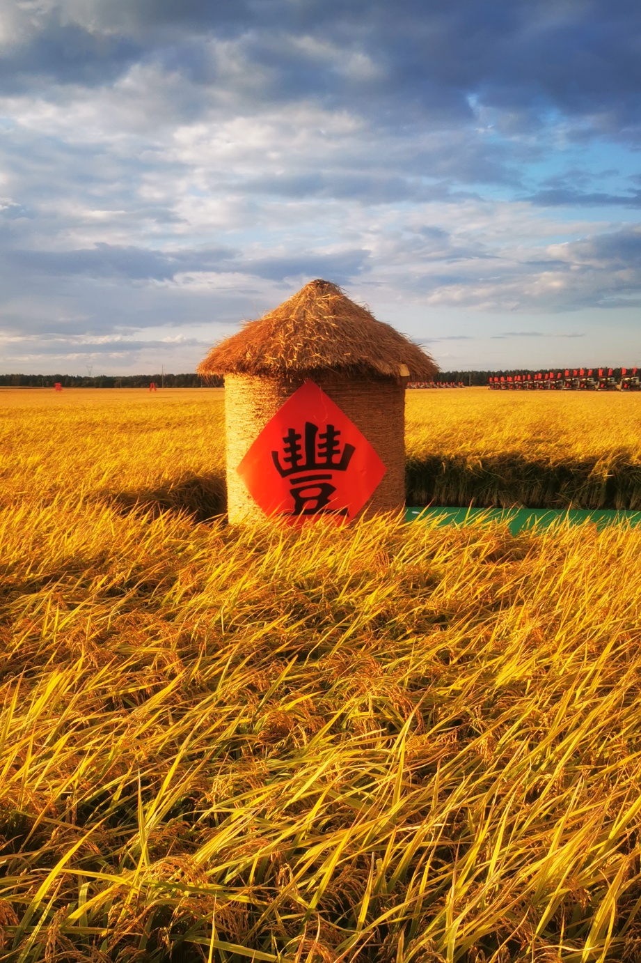 粮仓好“丰”景丨又到一年收获季，金色的画面很美！-荔枝网