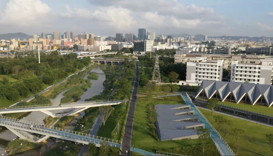 江河奔腾看中国·珠江新颜|珠三角建成绿色生态水网-广东台荔枝网